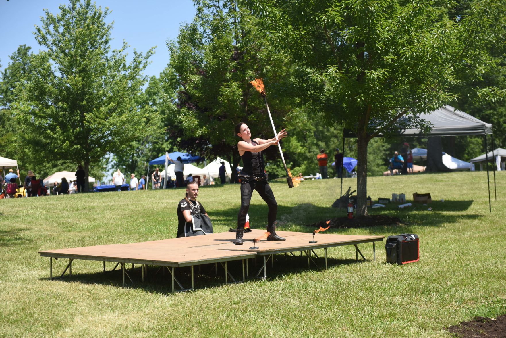 Festival in the Park